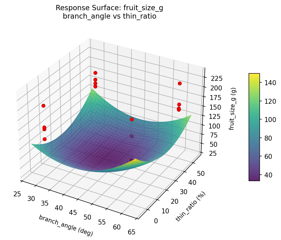 RSM surface: fruit size g branch angle vs thin ratio