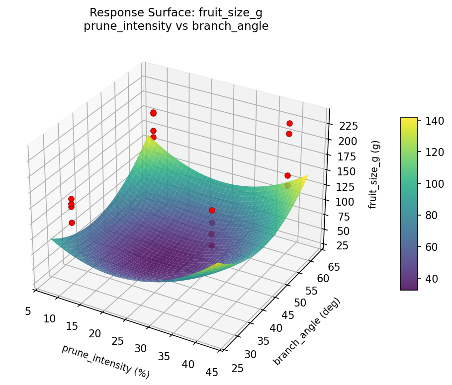 RSM surface: fruit size g prune intensity vs branch angle