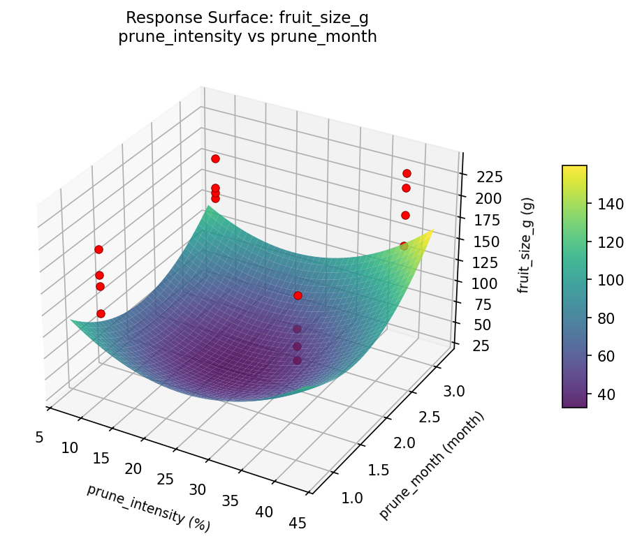 RSM surface: fruit size g prune intensity vs prune month