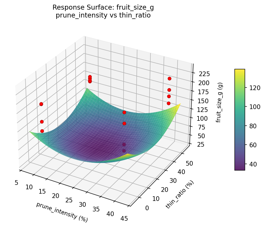 RSM surface: fruit size g prune intensity vs thin ratio