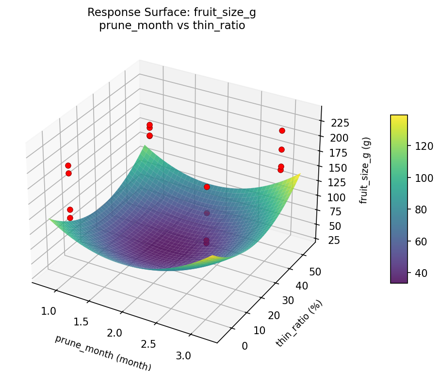 RSM surface: fruit size g prune month vs thin ratio