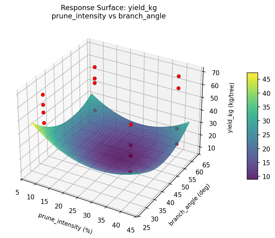 RSM surface: yield kg prune intensity vs branch angle