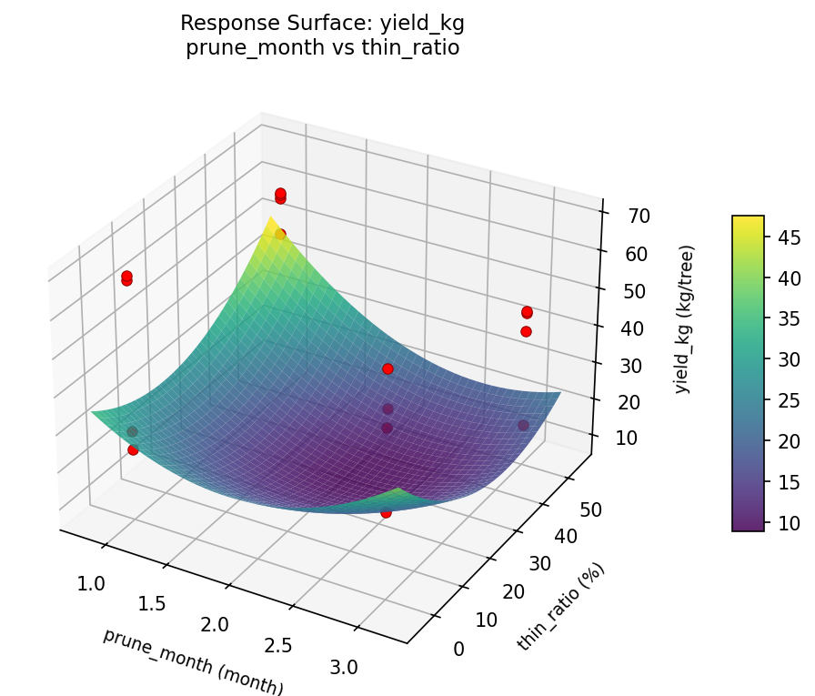 RSM surface: yield kg prune month vs thin ratio