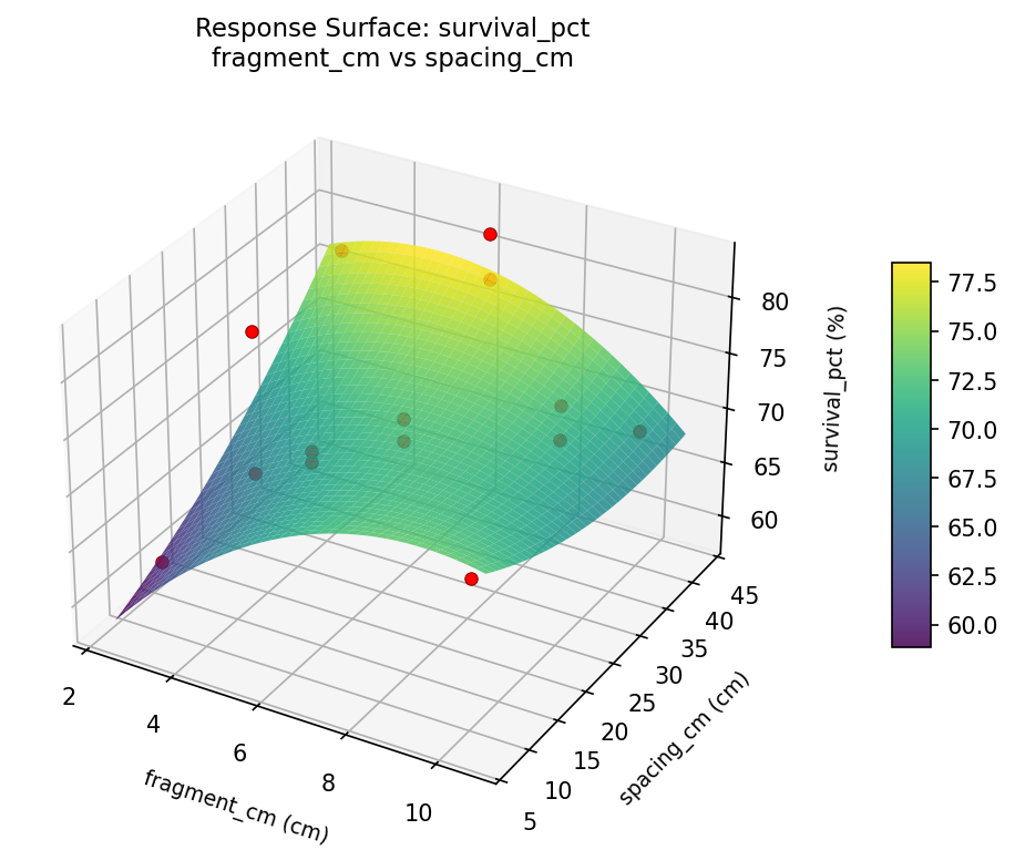 RSM surface: survival pct fragment cm vs spacing cm